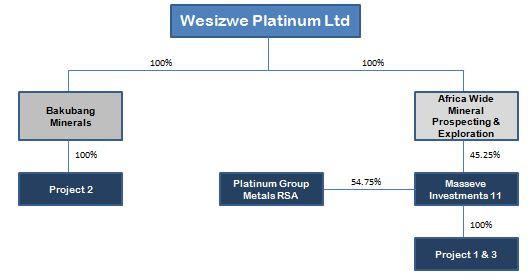 (c) any former or existing juristic person, but excludes a public body. 2. Company Overview The Company is a platinum group metals (PGM) exploration and mine development company.