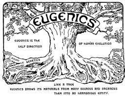 Eugenics which studied the alleged