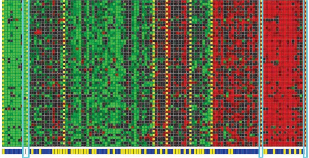 Cluster 7 Genes Cluster 1 Individuals Identifying Regulatory Mechanisms using Individual Variation Reveals Key