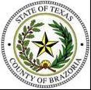 Brazoria County Collection Process Presented by:
