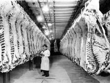Food Purity and Meat Inspections Acts Hepburn Act of 1906