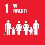 24 indicators relevant for disaggregation (1/2) 1.1.1 Proportion of population below the international poverty line, by sex, age, employment status and geographical location 1.3.