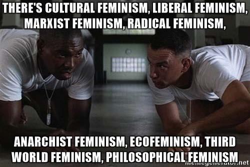 c. Radical Feminists advocate the