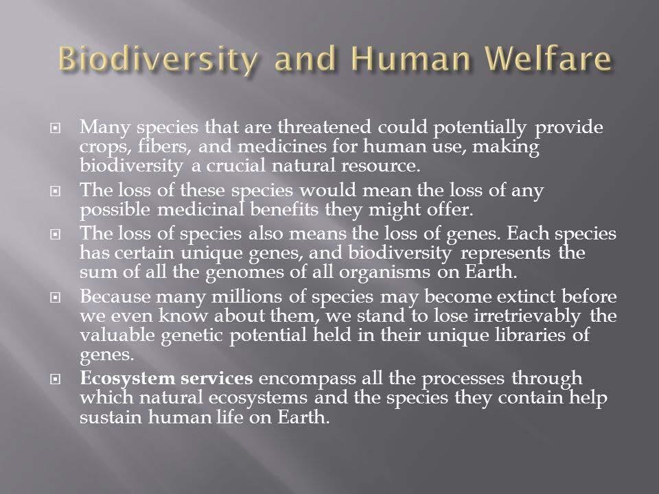 2. Human Welfare Ecology creation of a cleaner, safer, and more pleasing human