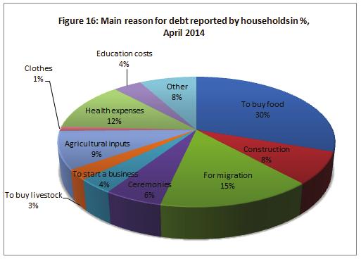Other 15 percent of interviewed households accrued debt for migration out of the country, which is 6 percent more than in the same season of 2012.