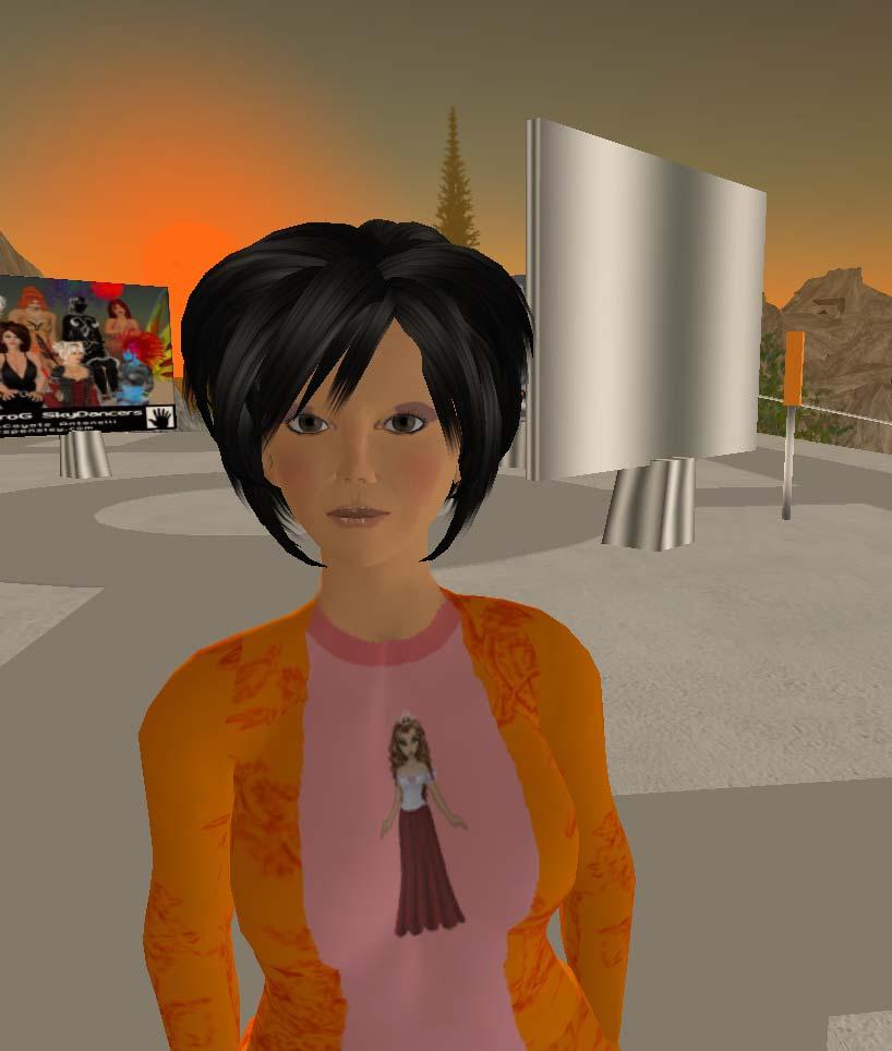 SecondLife 3-D online virtual world 6,5 million residents Half million (in