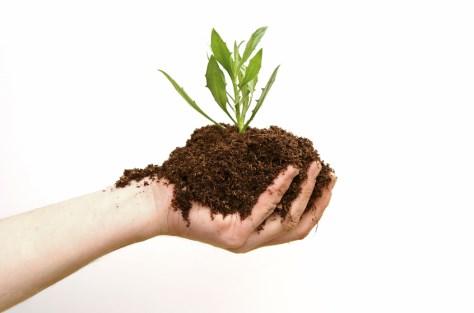 Fertile soil Soil or
