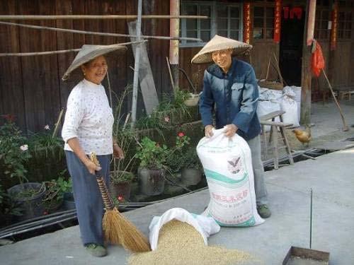 AGING AND ELDERLY WELL-BEING: A NATIONAL PICTURE 3. Crisis in old-age support in rural China Universal pension and health care systems have not been established in rural areas.