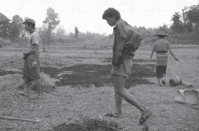 RURAL ISSUES For the villagers of Paw Ka Doe, 2005 has been a hard year.