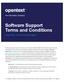 Software Support Terms and Conditions