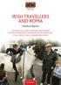 IRISH TRAVELLERS AND ROMA