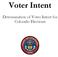 Voter Intent. Determination of Voter Intent for Colorado Elections