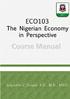 The Nigerian Economy in Perspective