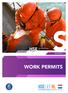 HSE guidelines. SApril 2017 WORK PERMITS