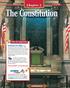 The Constitution. Chapter 3. Why It s Important GOVERNMENT