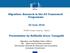 Migration: Research in the EU Framework Programme. Presentation by Raffaella Greco Tonegutti