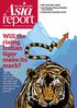 Will the rising Indian tiger make its mark?