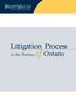 Litigation Process. in the Province. Ontario