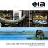 China, Ivory Trade & the Future of Africa s Elephants