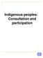Indigenous peoples: Consultation and participation