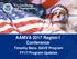 AAMVA 2017 Region I Conference. Timothy Benz, SAVE Program FY17 Program Updates