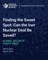 Finding the Sweet Spot: Can the Iran Nuclear Deal Be Saved? GLOBAL SECURITY POLICY BRIEF