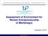 Assessment of Environment for Women Entrepreneurship in Montenegro