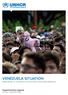 VENEZUELA SITUATION RESPONDING TO THE NEEDS OF PEOPLE DISPLACED FROM VENEZUELA
