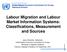 Labour Migration and Labour Market Information Systems: Classifications, Measurement and Sources