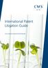 International Patent Litigation Guide.