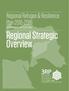 Regional Strategic Overview