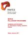 MERICS FELLOWSHIP PROGRAMME. Guidelines and Information for International Visiting Academic Fellows