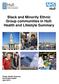 Black and Minority Ethnic Group communities in Hull: Health and Lifestyle Summary