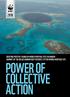 Power of collective action
