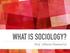 WHAT IS SOCIOLOGY? Prof. Alberto Pimentel Jr