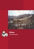 China. a cultural perspective