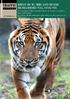 TRAFFIC REDUCED TO SKIN AND BONES RE-EXAMINED: FULL ANALYSIS. An analysis of Tiger seizures from 13 range countries from