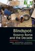 Blindspot: Kosovo Roma and the Decade SERBIA, MONTENEGRO, MACEDONIA, AND BOSNIA AND HERZEGOVINA