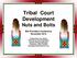 Tribal Court Development Nuts and Bolts