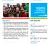 Nigeria Humanitarian Situation Report