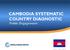 CAMBODIA SYSTEMATIC COUNTRY DIAGNOSTIC Public Engagement