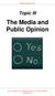 The Media and Public Opinion
