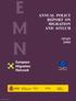 E M N ANNUAL POLICY REPORT ON MIGRATION AND ASYLUM. European Migration Network SPAIN Project co-financed by the European Comission