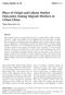 Place of Origin and Labour Market Outcomes Among Migrant Workers in Urban China