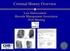 Criminal History Overview. Law Enforcement Records Management Association 2016 Meeting