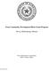 Texas Community Development Block Grant Program. Survey Methodology Manual. Texas Department of Agriculture Office of Rural Affairs