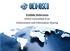 Credible Deterrence IOSCO Committee 4 on Enforcement and Information Sharing