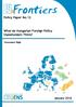 Policy Paper No.12. What do Hungarian Foreign Policy Stakeholders Think? Zsuzsanna Végh. Author