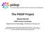 The PIDOP Project. Martyn Barrett. PIDOP Project Coordinator Department of Psychology, University of Surrey, UK