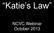 Katie s Law. NCVC Webinar October 2013